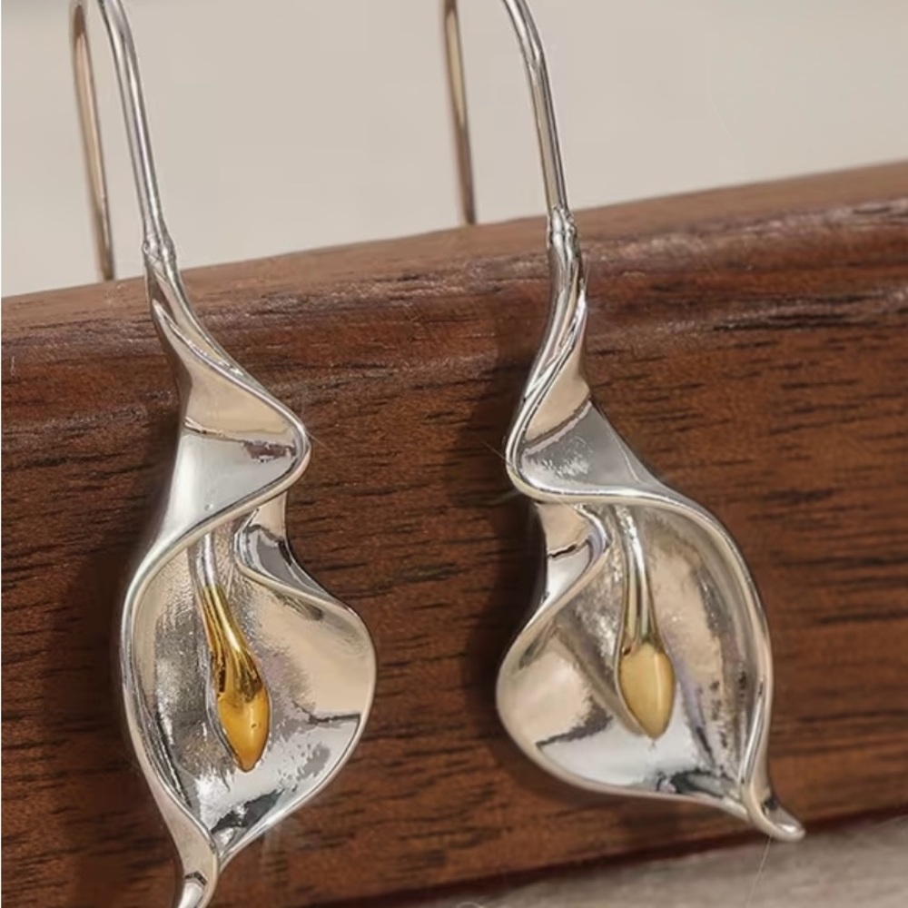 Artistic Silver and Gold Women's Earrings - Picture 4 of 4